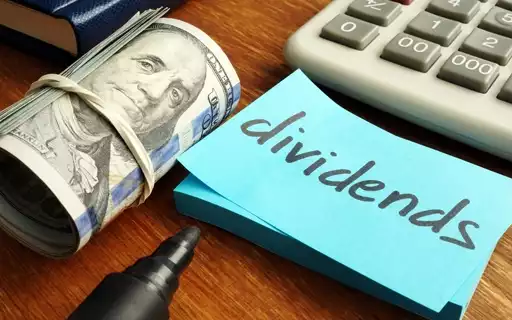 Dividend